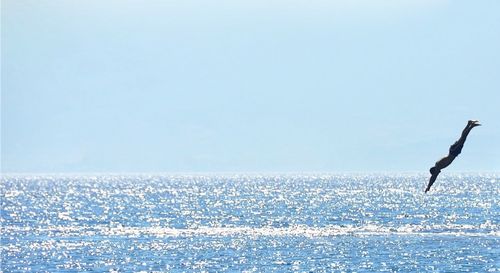 Woman jumping in sea