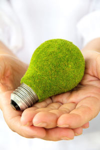 Midsection of man holding light bulb with grass