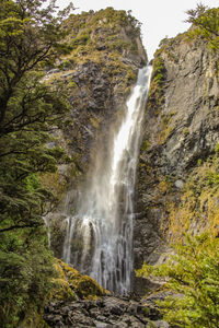 Scenic view of waterfall in forest