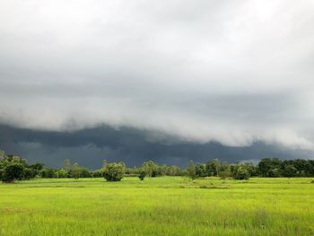 Scenic view of field against sky