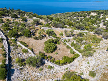 High angle view of trees on beach