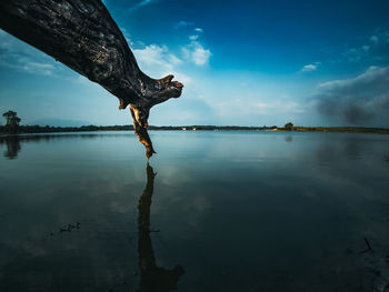 Reflection of tree in lake against sky