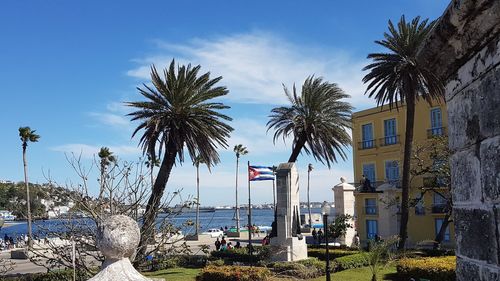 Palm trees by sea against sky