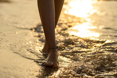 Low section of man standing on beach