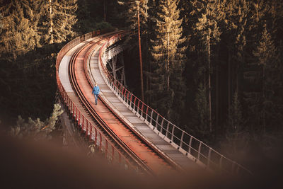 High angle view of train in forest