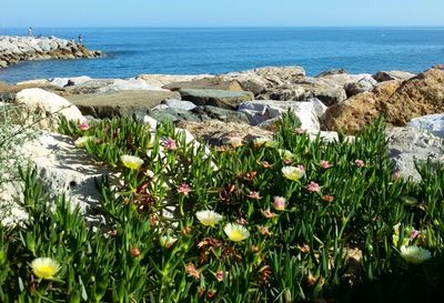 Scenic view of sea against sky