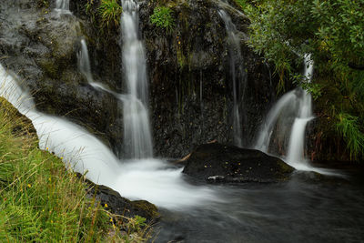 View of waterfall in forest