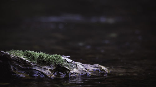 Close-up of water