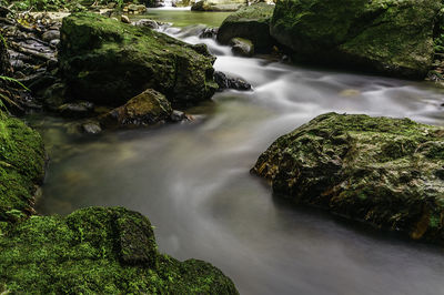 Scenic view of waterfall