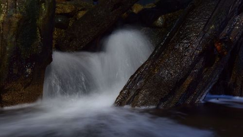 River flowing through forest