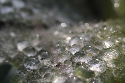 Close-up of water drops on leaf