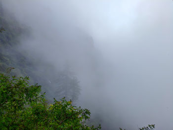 fog