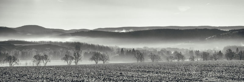 Scenic view of agricultural landscape against sky
