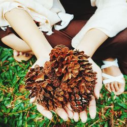 Midsection of woman holding food