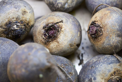 Full frame shot of beet roots for sale at market stall