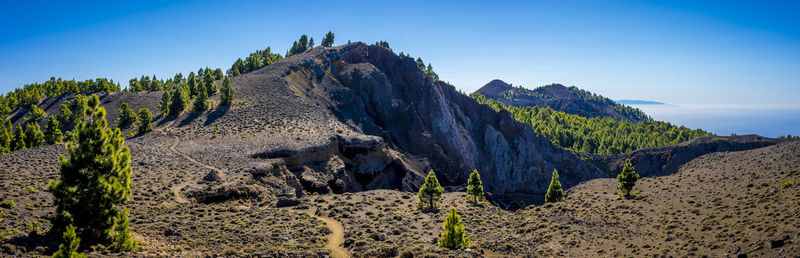 wilderness