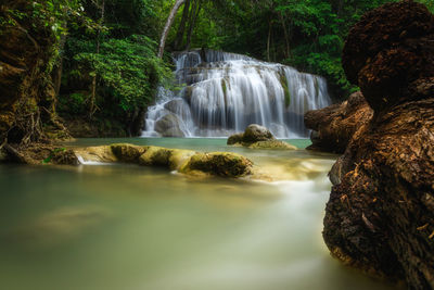 Scenic view of waterfall in forest