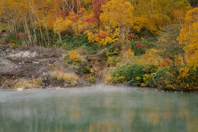 Scenic view of lake in forest during autumn