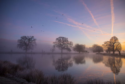 Birds flying over lake against sky during sunset