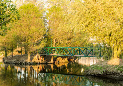 Bridge over lake against trees