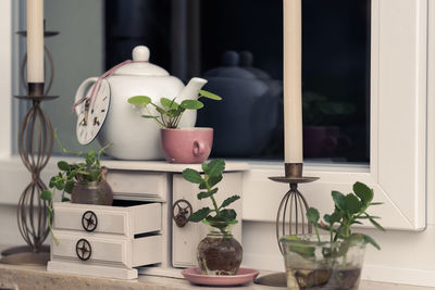 Potted plant on table at home