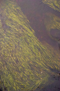 Full frame shot of lake
