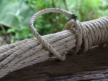 Close-up of rope on wood