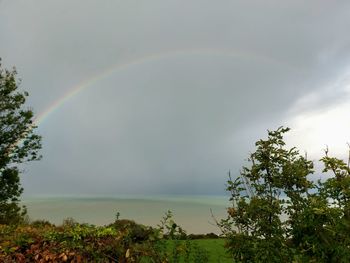rainbow