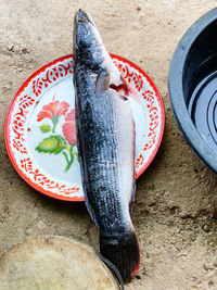 High angle view of fish on table