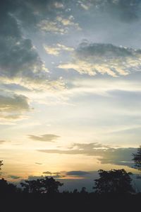 Silhouette of trees against cloudy sky