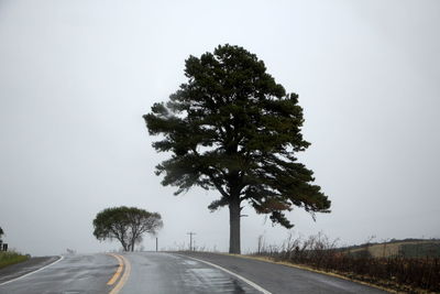 Road by tree against sky