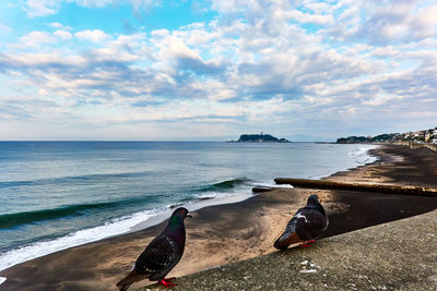 Scenic view of sea witu birds against sky in the morning