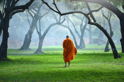 Monk walking in the park,buddhist monk meditating under a tree at ayutthaya