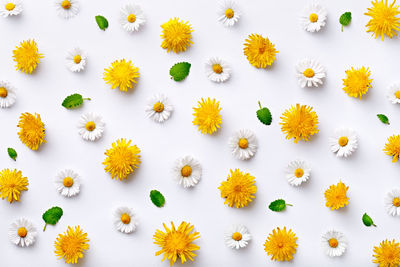 Close-up of yellow flowers