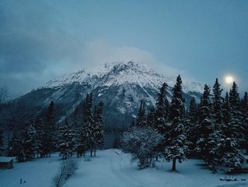 Snow covered land and trees against sky