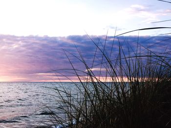 Scenic view of sea at sunset