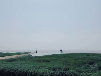 Scenic view of sea against clear sky