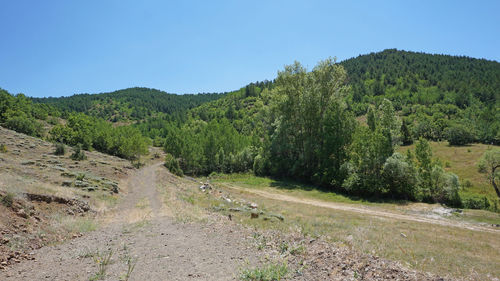 Scenic view of landscape against clear sky