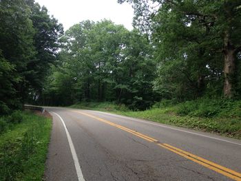 Road amidst trees in forest