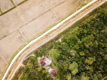 High angle view of farm