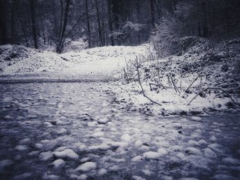 Snow covered landscape