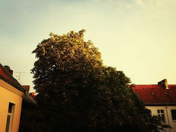 Low angle view of houses against sky