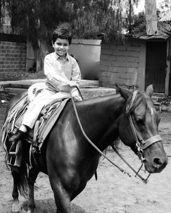 Full length of horse in stable