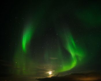 Low angle view of sky at night