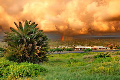 Scenic view of field against sky during sunset