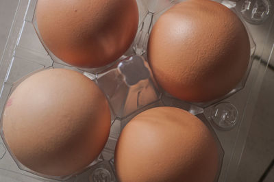 High angle view of eggs in container