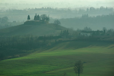 Scenic view of agricultural field