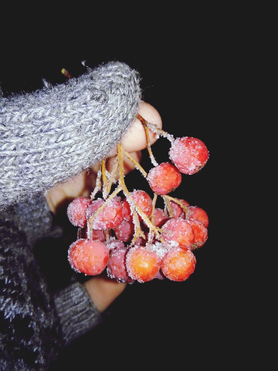 person, holding, food and drink, food, freshness, lifestyles, part of, cropped, unrecognizable person, fruit, healthy eating, leisure activity, human finger, close-up, personal perspective, copy space