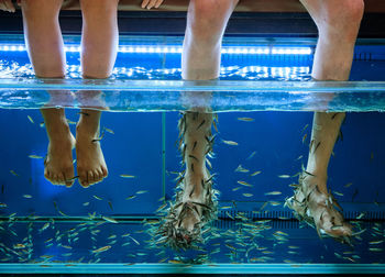 Low section of people getting fish massage at pool