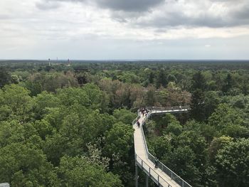 High angle view of plants and trees against sky with sky walk in tree crowns